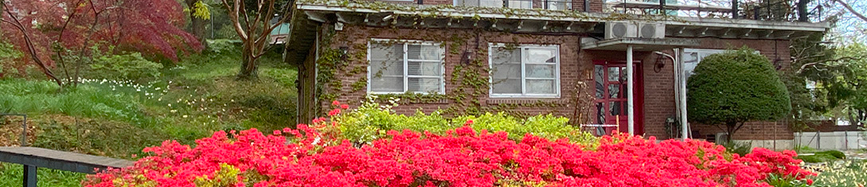 양림동 호랑가시나무언덕 이미지